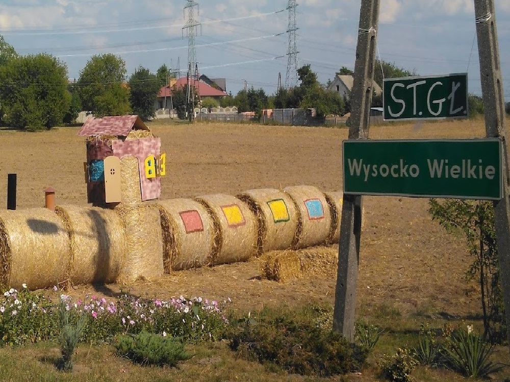Zdjęcie szkółki
